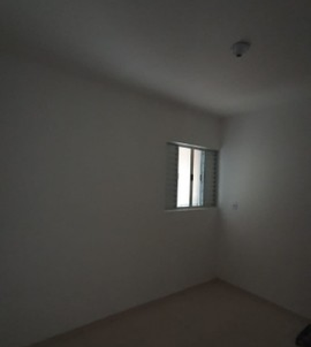 C3371 7.jpg